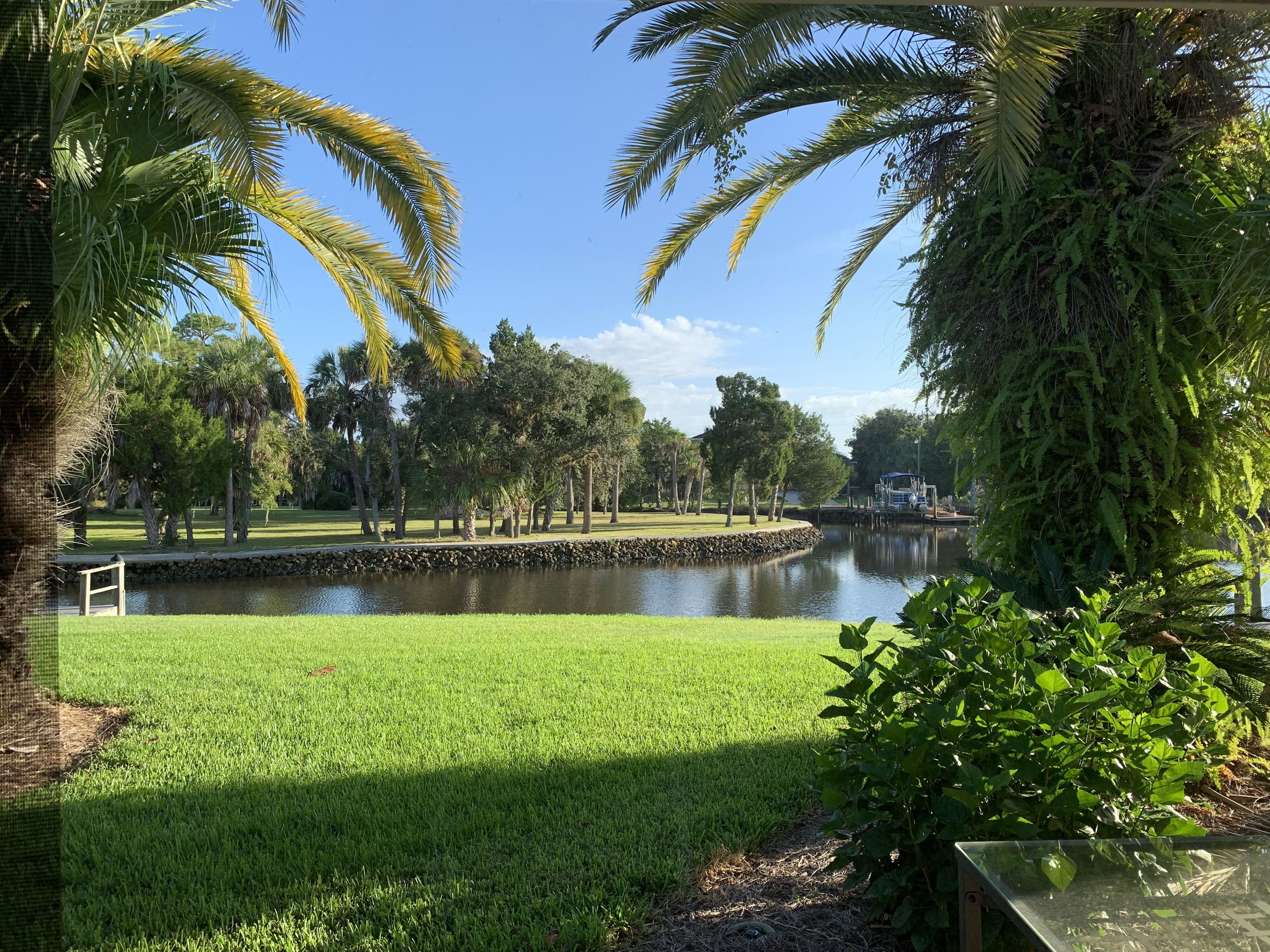 Palm-lined waterfront setting